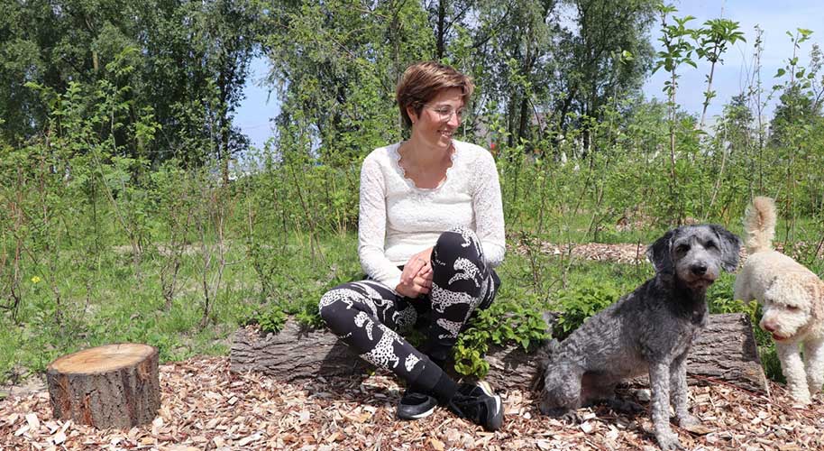 Gelderland zoekt particulieren voor Tiny Forest